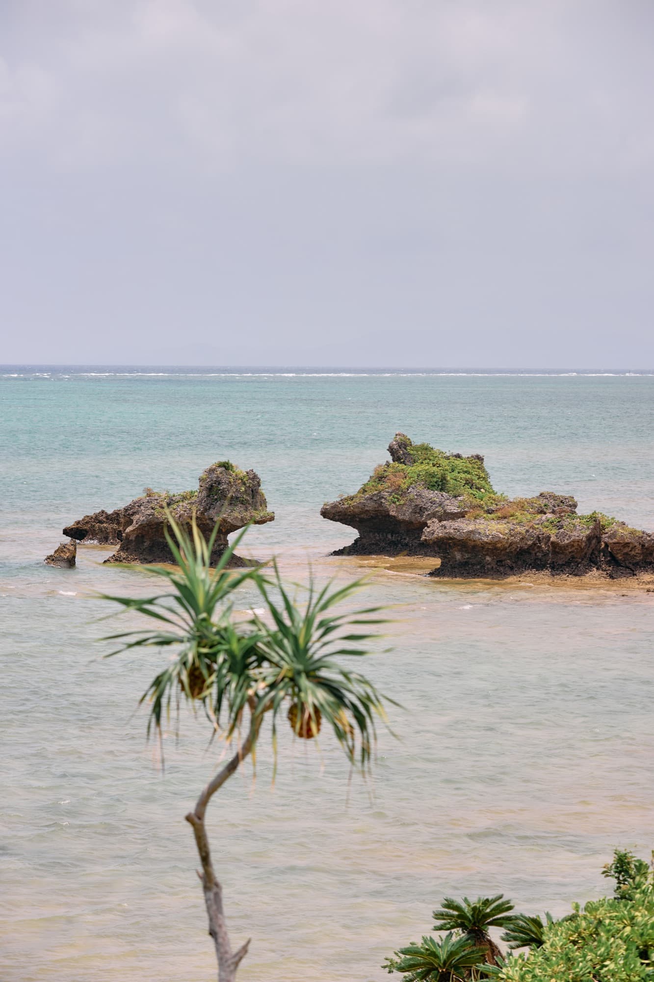 目の前の浜辺と岩礁、アダンの木